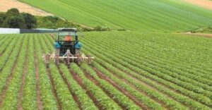 agrotes xorafi 720x375 1